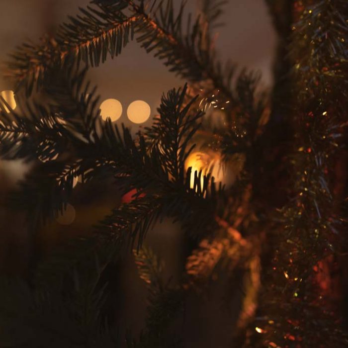 Weihnachtsmarktgalerie - deinweihnachtsmarkt.com - mobiler Weihnachtsmarkt